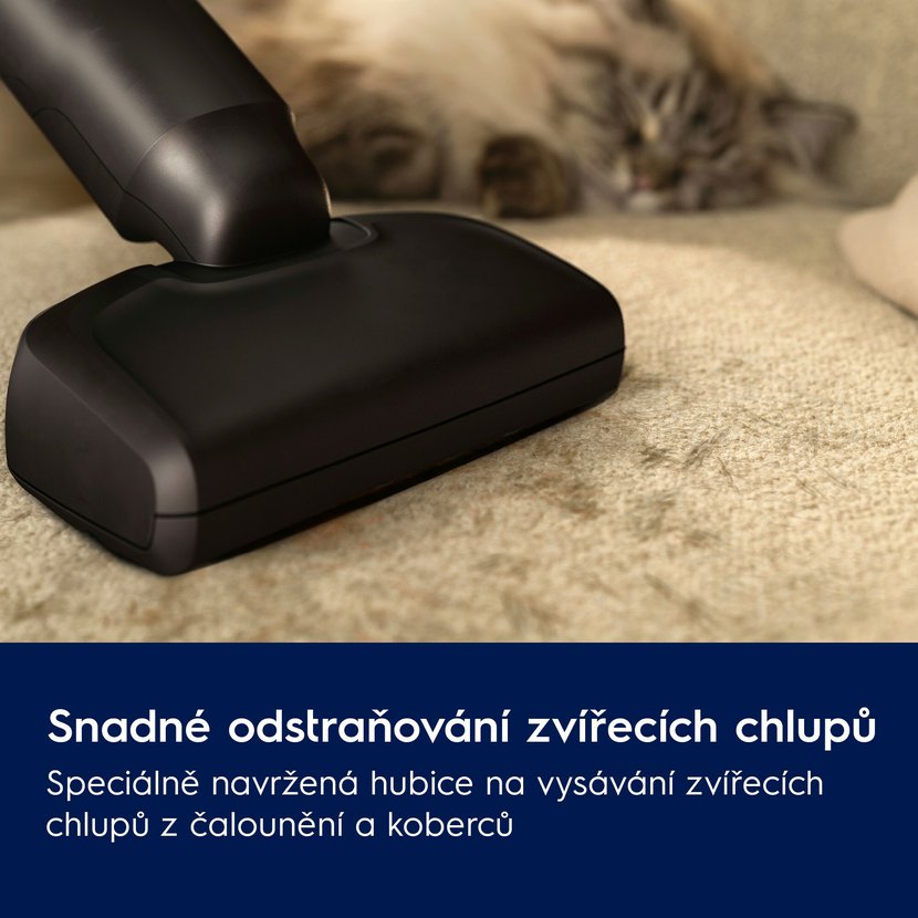 Obrázek (9)
