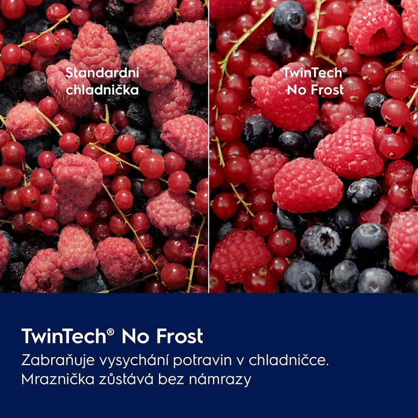 Obrázek (5)